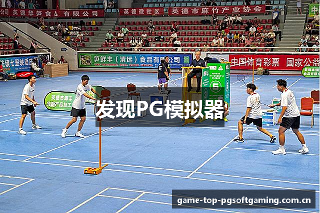 发现PG模拟器